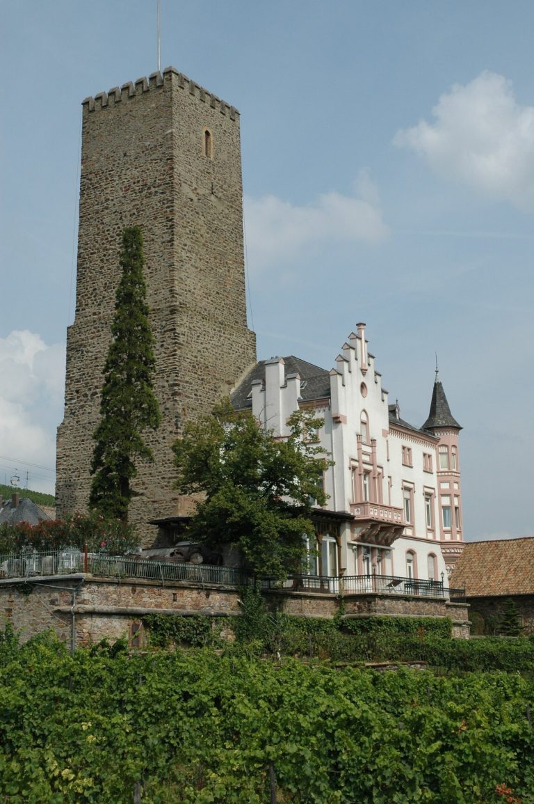 Boosenburg: A Medieval Lowland Castle and Wine Estate in Germany