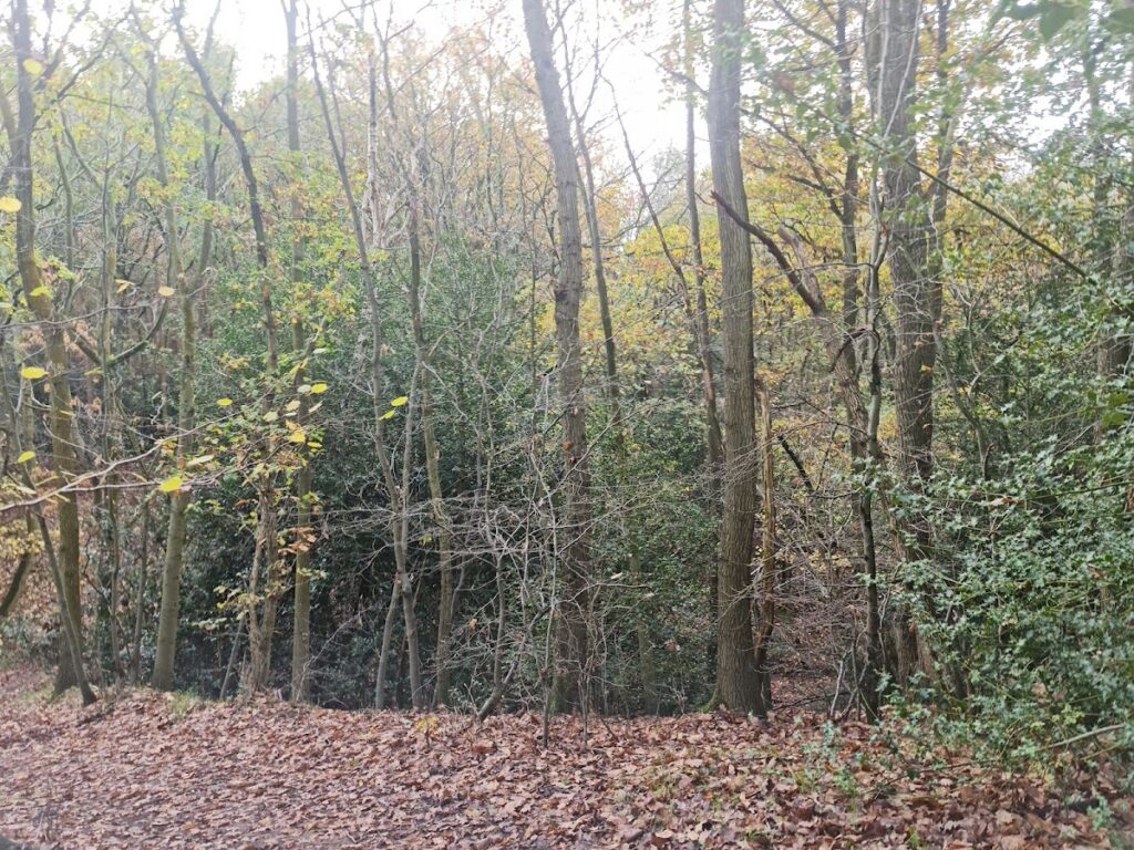 Hartshill Castle: A Medieval Fortress in Nuneaton, United Kingdom 4 Hartshill Castle