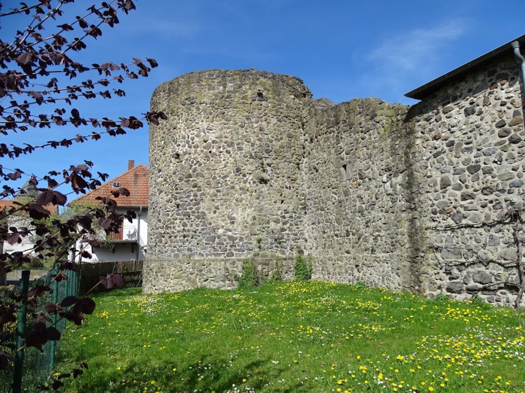 Burg Grüningen: A Lowland Water Castle in Germany 1 Burg Grüningen