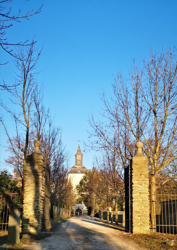 Schloss Niederleis: A Historic Moated Castle in Austria 4 Schloss Niederleis