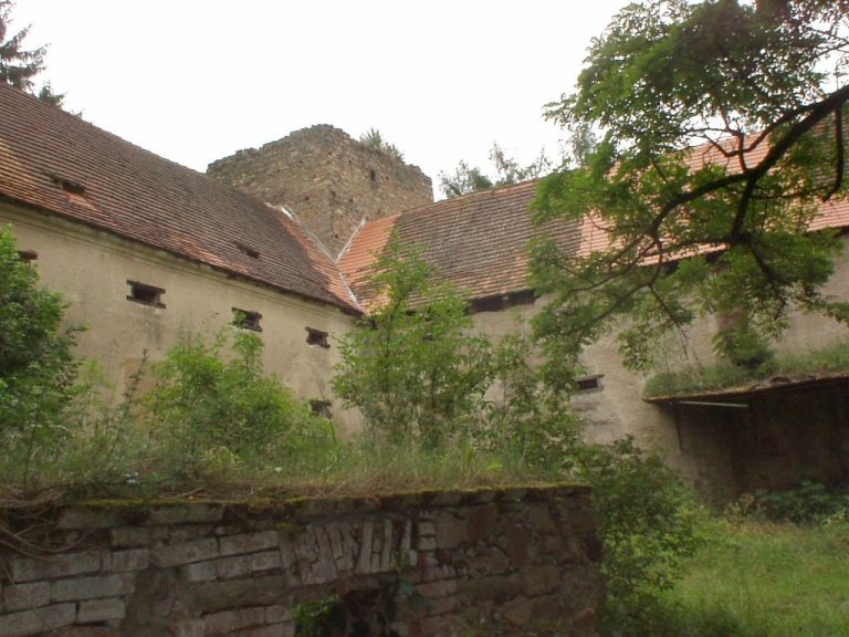 Buzice: A Fortified Manor and Castle in Czechia