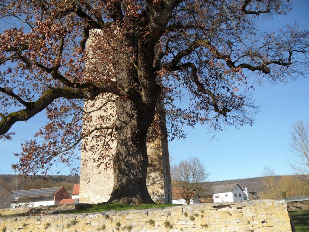 Burg Rieshofen: A Medieval Water Castle in Germany 2 Burg Rieshofen