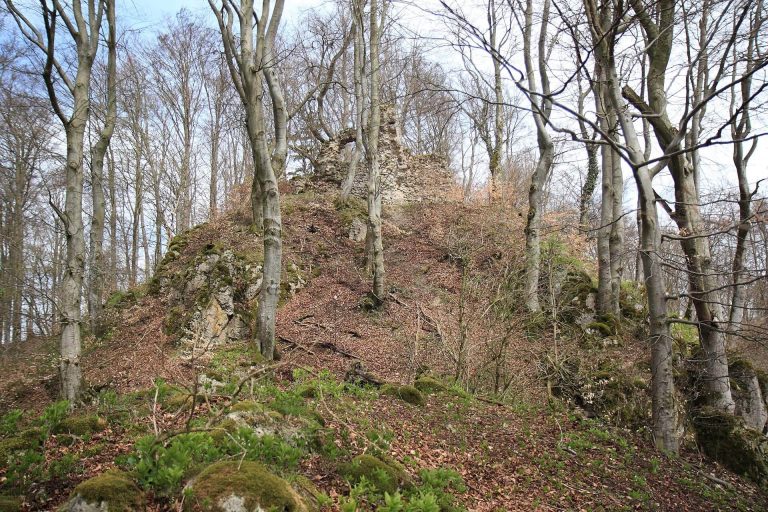 Adelburg Castle Ruins: A Medieval Hilltop Castle in Germany