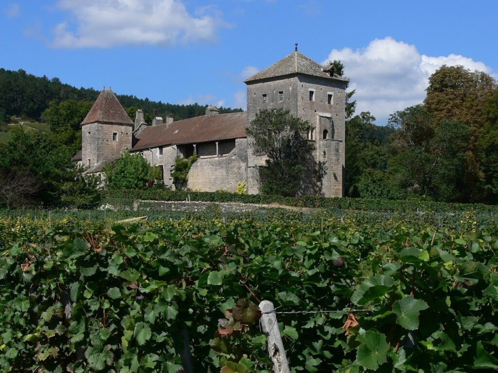 Château de Gevrey-Chambertin: Medieval Fortified Castle and Wine Estate 2 Château de Gevrey-Chambertin