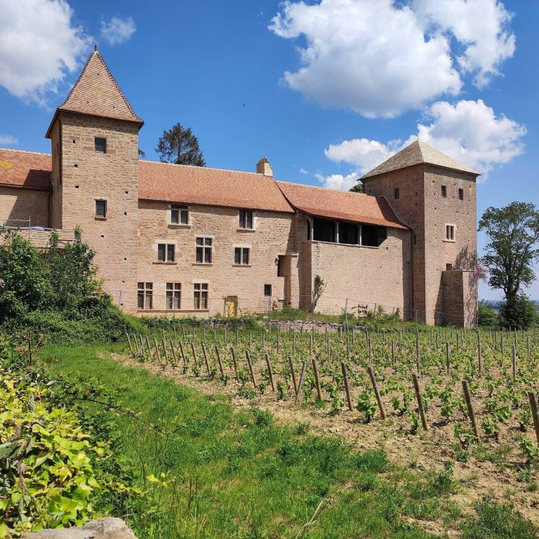Château de Gevrey-Chambertin: Medieval Fortified Castle and Wine Estate