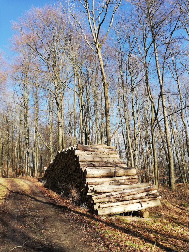 Burgruine Großer Gudenberg: A Medieval Fortress Ruin in Germany