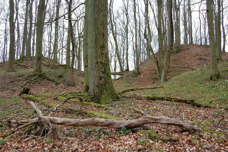 Großer Gudenberg Castle Ruins: A Medieval Double Hilltop Castle in Germany