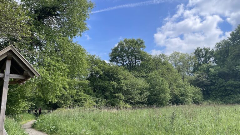 Mansinger Burgplatz: A Medieval Motte-and-Bailey Fortress in Westerstede, Germany