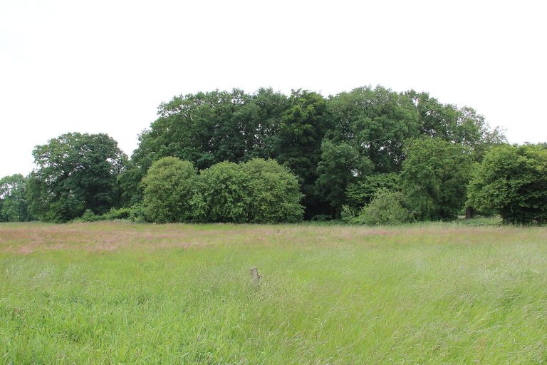 Mansinger Burgplatz: A Medieval Motte Castle Site in Germany