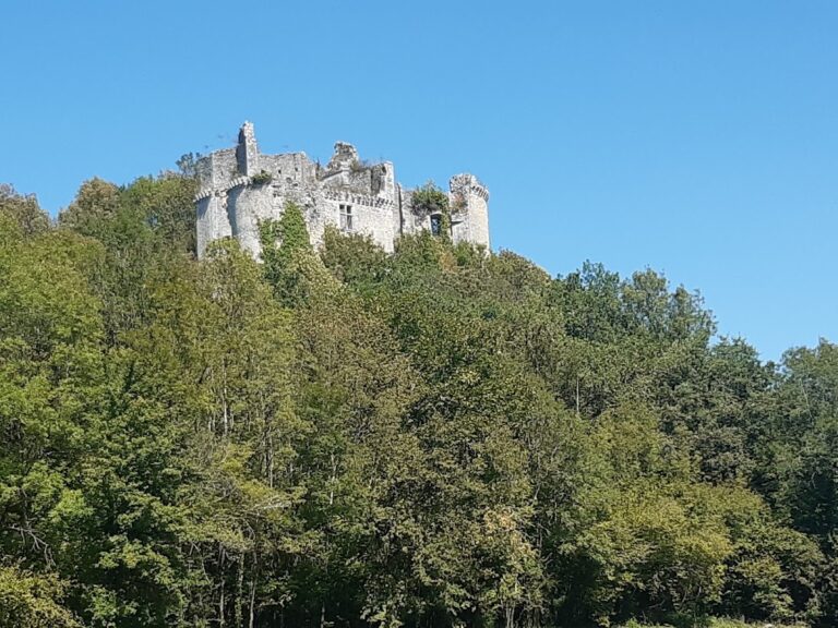 Château de Bruzac: A Medieval Castle Complex in Saint-Pierre-de-Côle, France