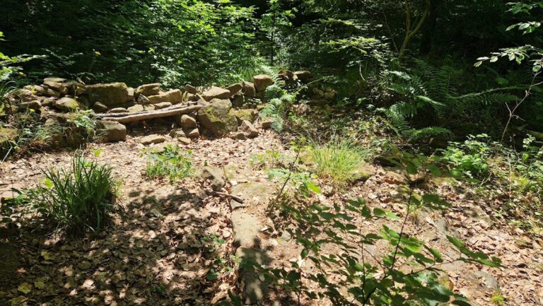 Burg Waldenfels: A Medieval Castle in Malsch, Germany