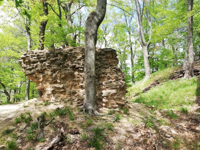 Burg Jossa: A Medieval Hilltop Castle in Germany