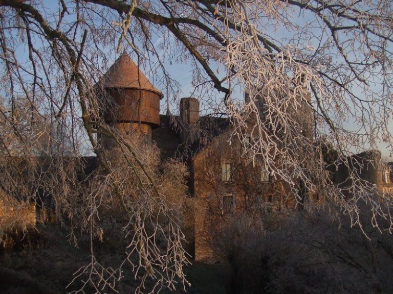 Château d’Ingrandes: A Medieval Fortress and Historic Monument in France
