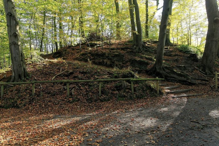 Burg Elmendorf: A Medieval Motte Castle in Germany