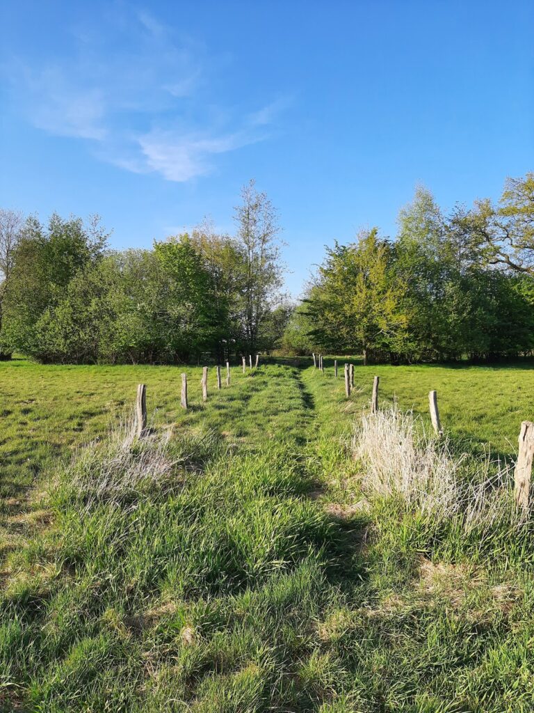 Burg im Dannsee: A Medieval Island Fortress in Beckdorf, Germany