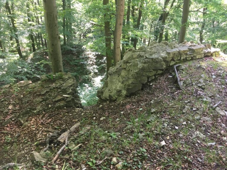 Burgruine Ried am Riederberg: A Medieval Castle Ruin in Austria