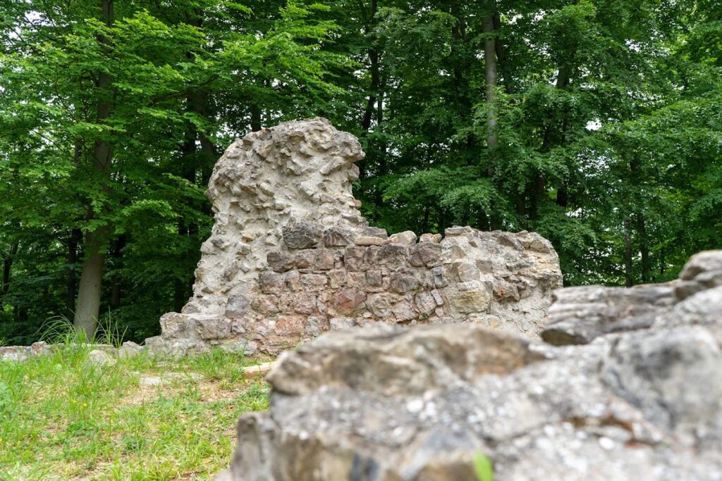 Burgruine Ried, Sieghartskirchen: A Medieval Spur Castle in Austria 2 Burgruine Ried, Sieghartskirchen