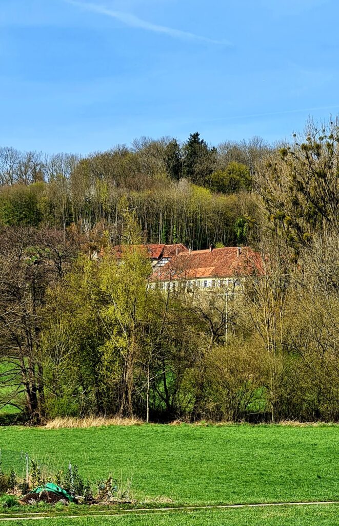 Domeneck: A Castle Estate near Möckmühl, Germany 2 Domeneck