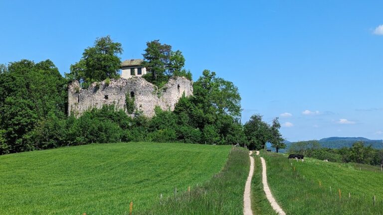 Neu-Schauenburg Castle: A Medieval Fortress in Frenkendorf, Switzerland