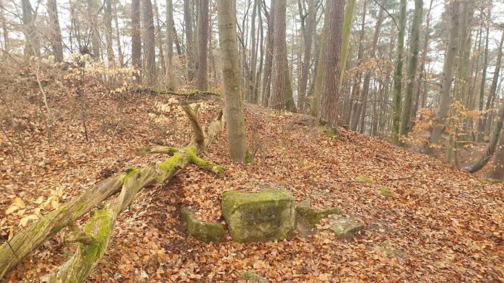 Burg Müneck: A Medieval Hilltop Castle in Ammerbuch, Germany 3 Burg Müneck