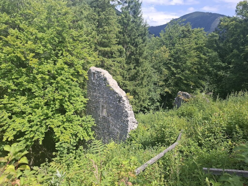 Ruine Hohenberg: A Medieval Hilltop Castle in Austria 4 Ruine Hohenberg