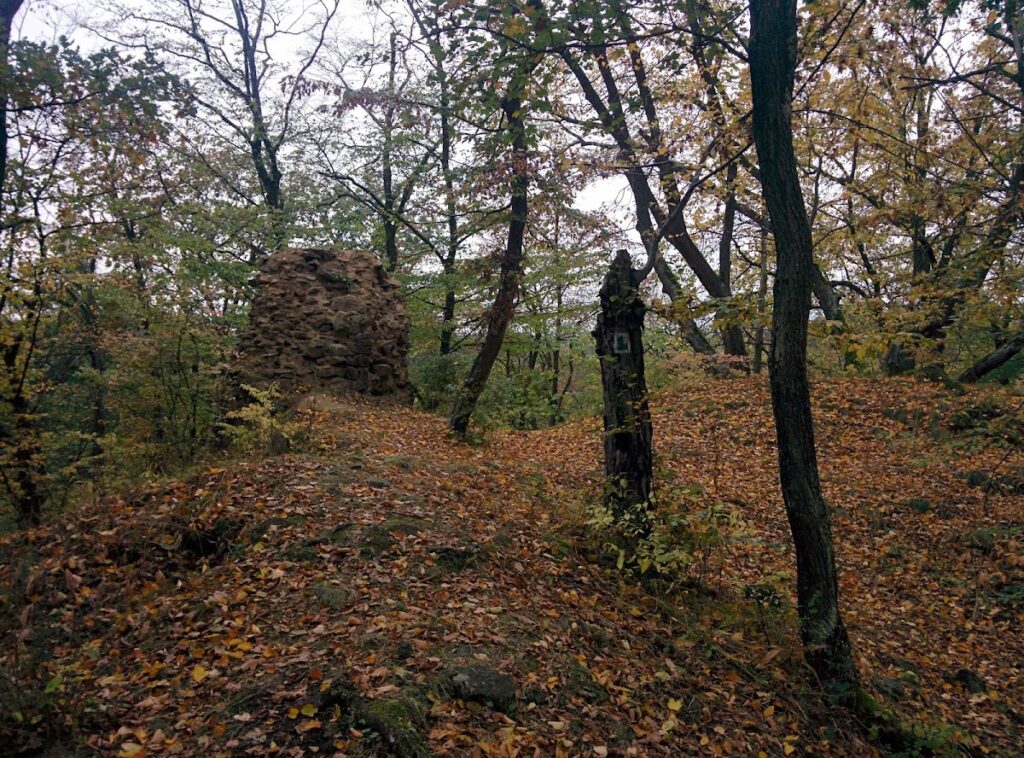 Castle Šenkenberk: A Medieval Spur Castle in Czechia 3 Burg Šenkenberk