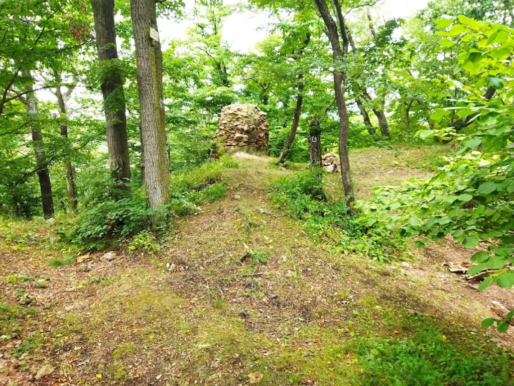 Castle Šenkenberk: A Medieval Spur Castle in Czechia 5 Burg Šenkenberk