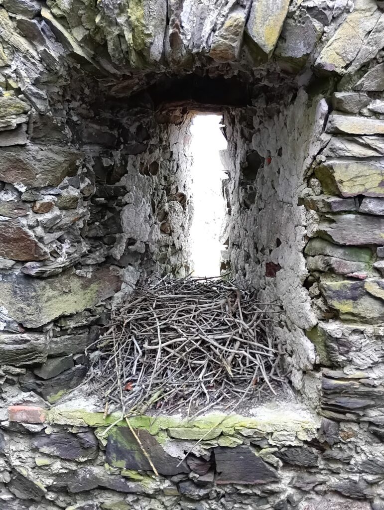 Burgruine Haichenbach: A Medieval Hill Castle in Austria 9 Burgruine Haichenbach