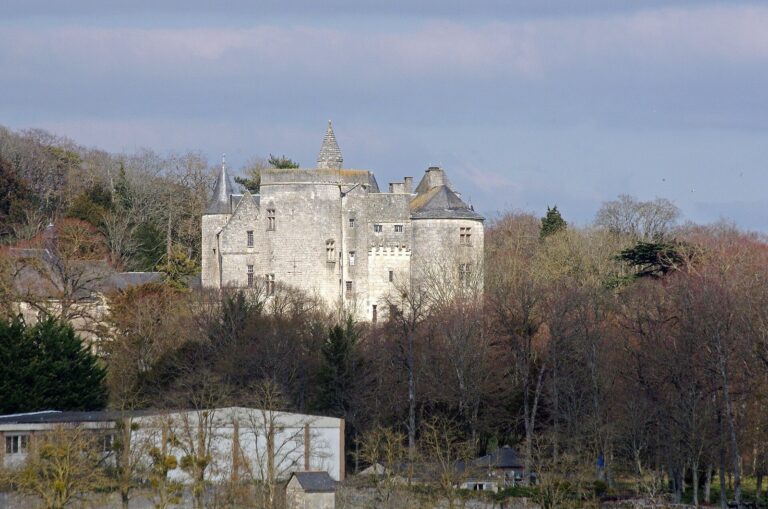 Château de Montsabert: A Medieval Fortress and Château in France
