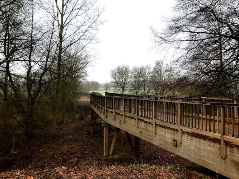 Haskenau: A Medieval Motte Castle in Münster, Germany