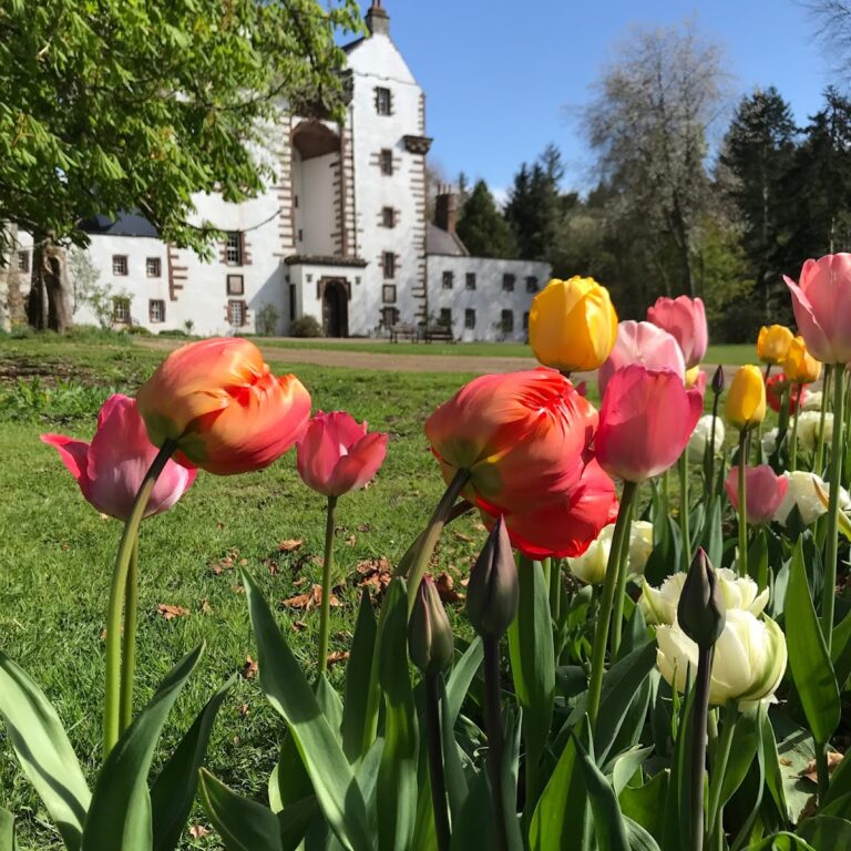 Craigston Castle: A Historic Scottish Castle in Turriff