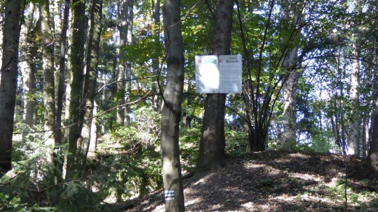 Barwałd Castle: A Medieval Fortress in Stryszów, Poland