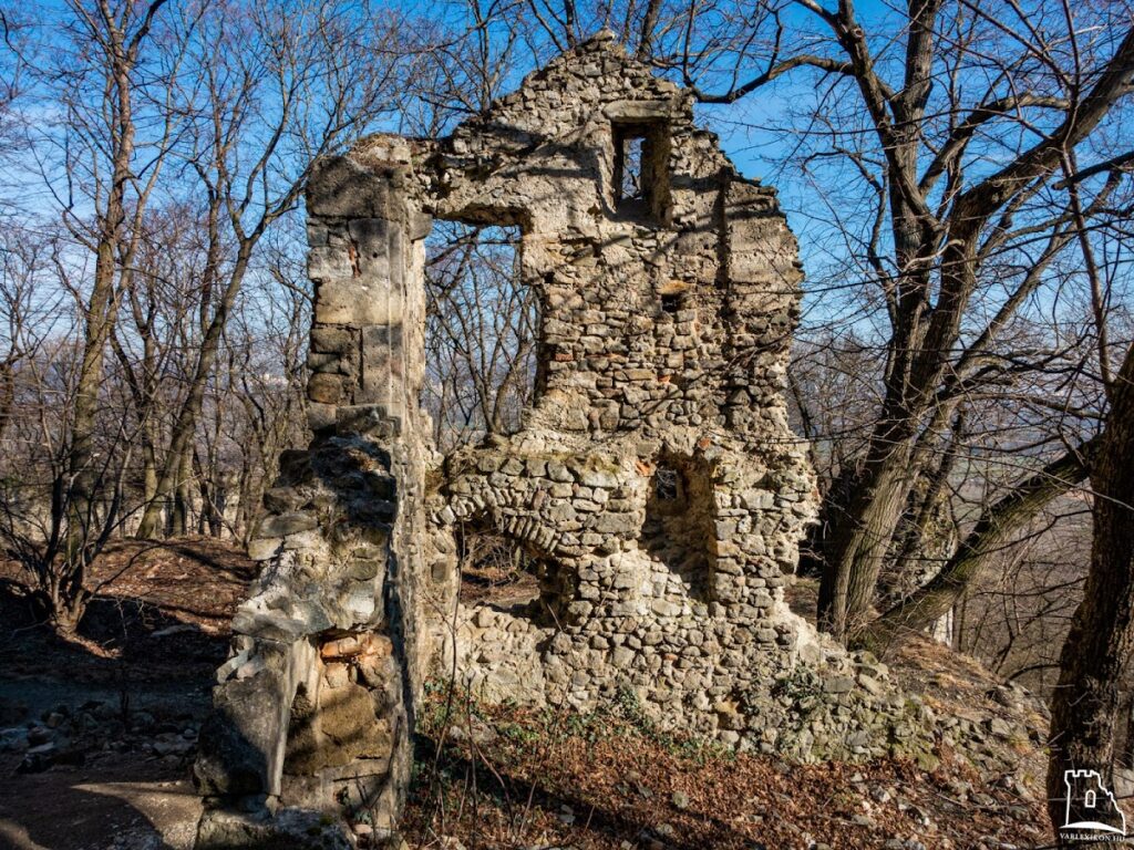 Pottenburg Castle: A Medieval Border Fortress in Austria 6 Pottenburg