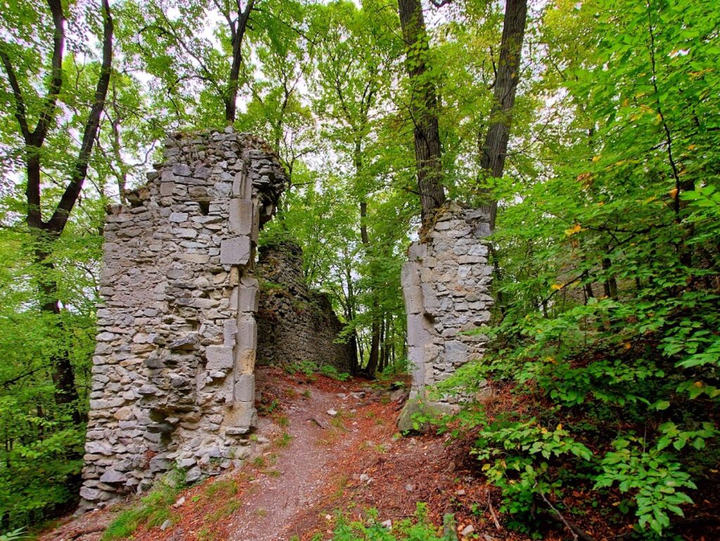 Pottenburg Castle: A Medieval Border Fortress in Austria 8 Pottenburg