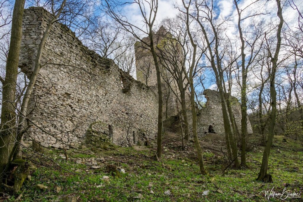 Pottenburg Castle: A Medieval Border Fortress in Austria 9 Pottenburg