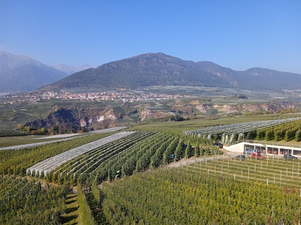 Castel Casez: A Historic Noble Residence in Trentino 3 Castel Casez