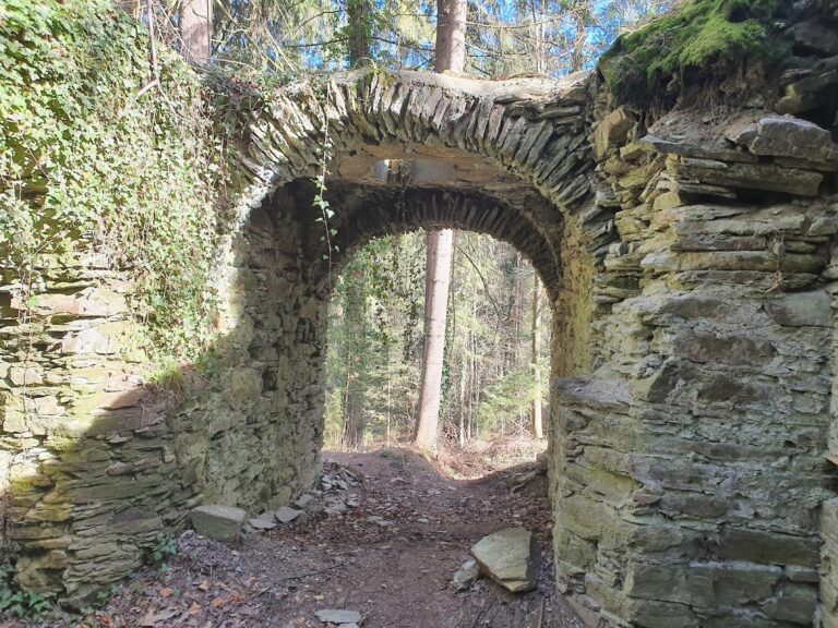 Burg Neu-Leonroth: A Medieval Hill Castle in Austria