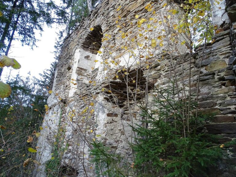 Burg Neu-Leonroth: A Medieval Hill Castle in Austria