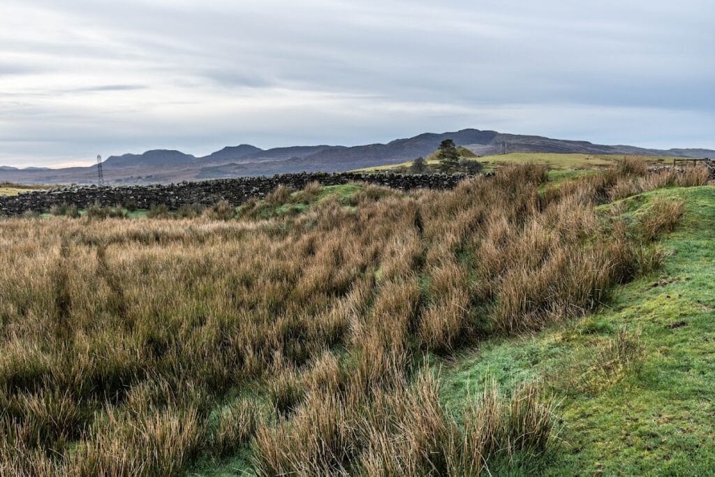 Tomen y Mur: A Roman Military Site in Wales 4 Tomen y Mur