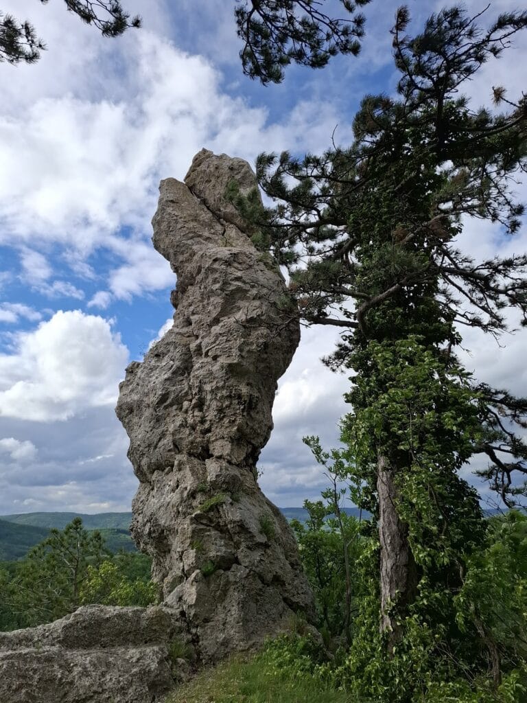 Arnstein Castle Ruins: A Medieval Fortress near Maria Raisenmarkt, Austria 7 Arnstein ruins