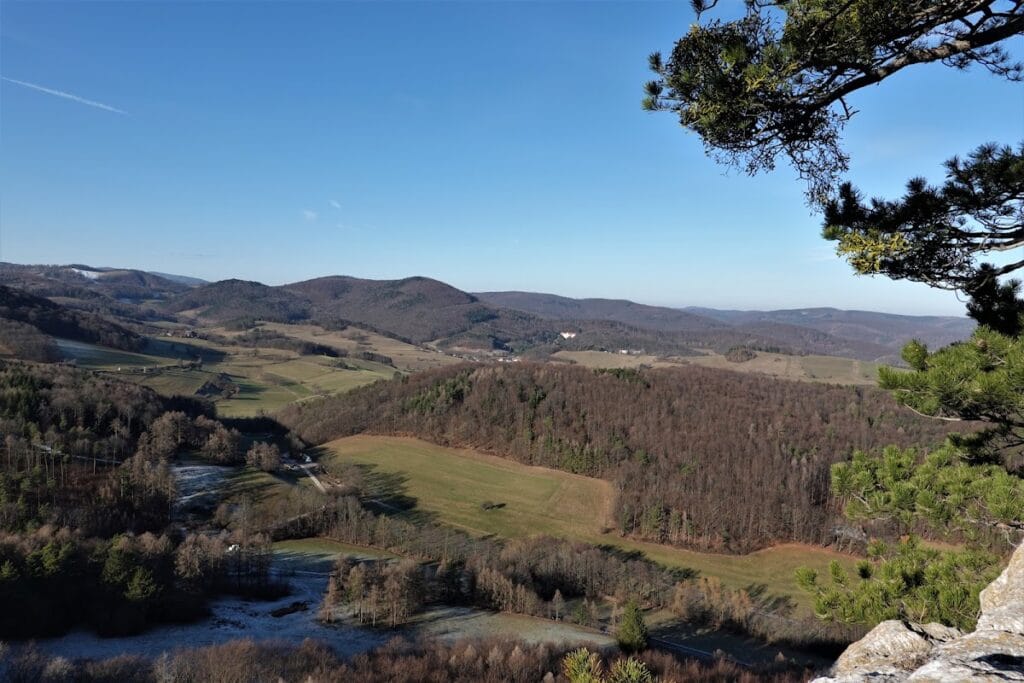 Arnstein Castle Ruins: A Medieval Fortress near Maria Raisenmarkt, Austria 8 Arnstein ruins