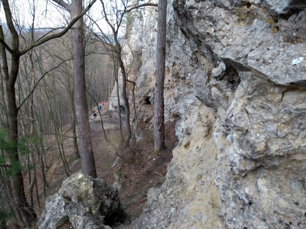 Arnstein Castle Ruins: A Medieval Fortress near Maria Raisenmarkt, Austria 9 Arnstein ruins