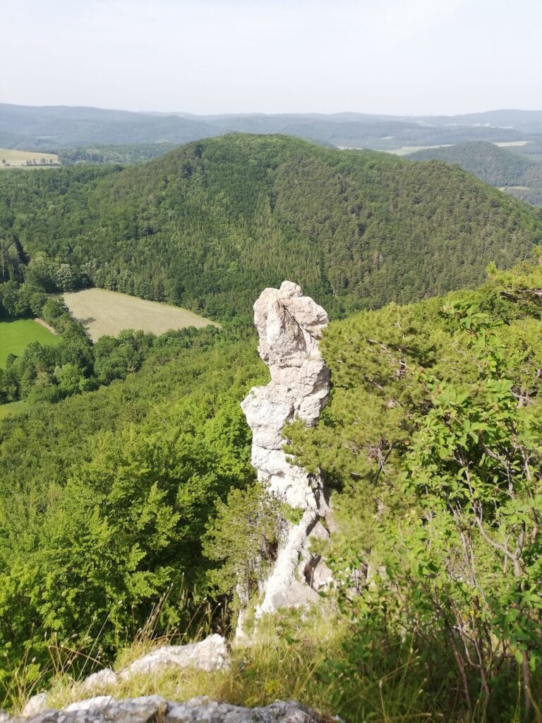 Arnstein Castle Ruins: A Medieval Fortress near Maria Raisenmarkt, Austria 10 Arnstein ruins