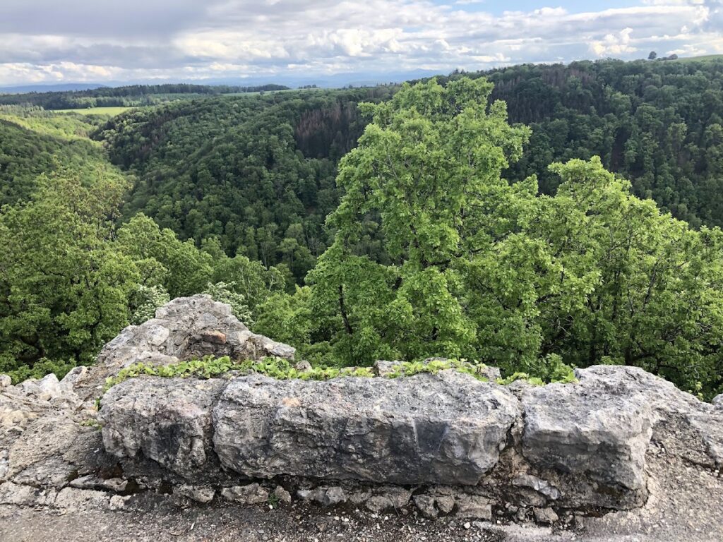 Radegg, medieval castle ruins with outworks