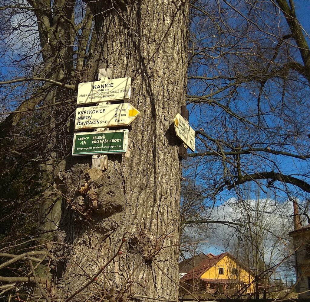 Castle Netřeb: A Medieval Fortress in the Czech Republic 8 Castle Netřeb