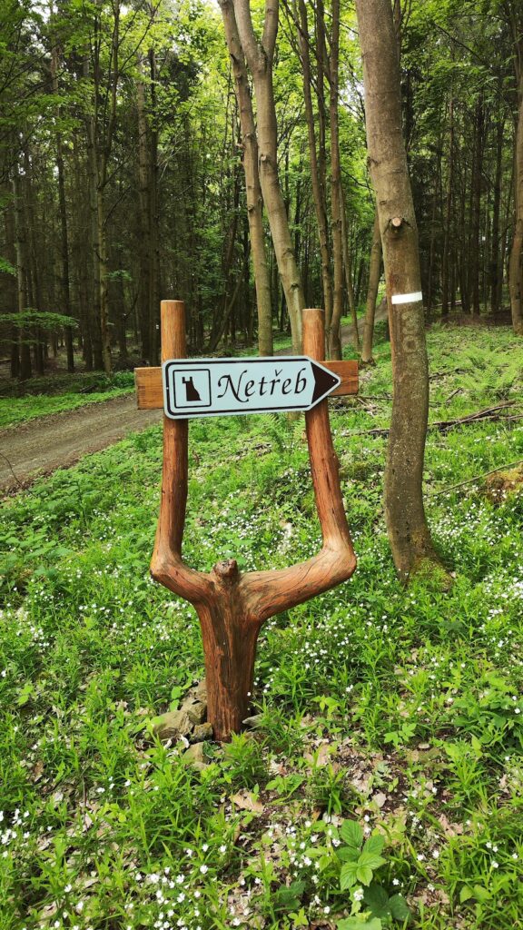 Castle Netřeb: A Medieval Fortress in the Czech Republic 9 Castle Netřeb