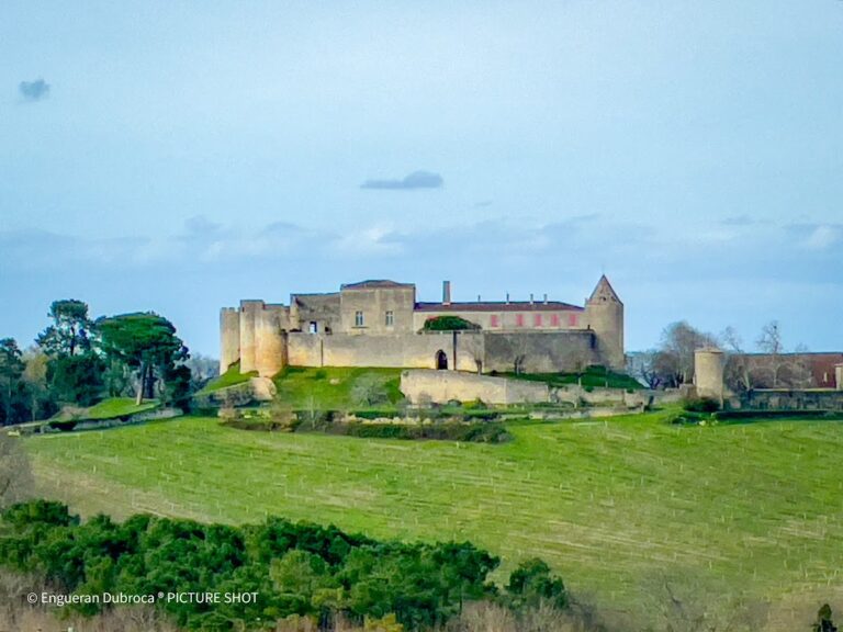 Château de Benauge: A Medieval Fortress in Porte-de-Benauge, France
