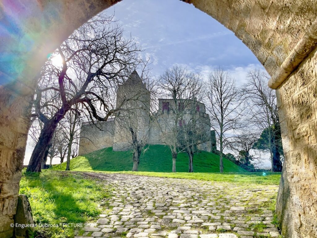 Château de Benauge: A Medieval Fortress in Porte-de-Benauge, France 10 Château de Benauge