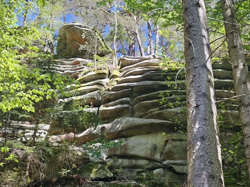 Sokolčí Castle: A Medieval Bohemian Noble Residence in the Czech Republic 8 Sokolčí