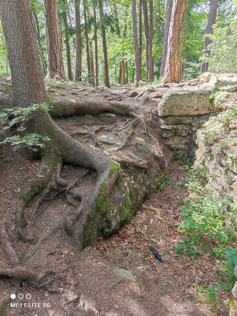 Sokolčí Castle: A Medieval Bohemian Noble Residence in the Czech Republic 9 Sokolčí